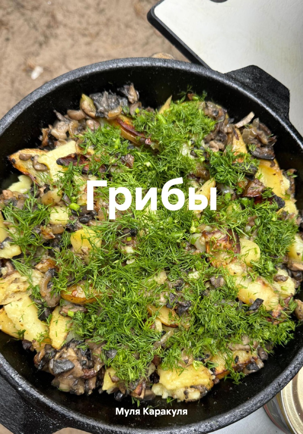 Обложка книги «Грибы»