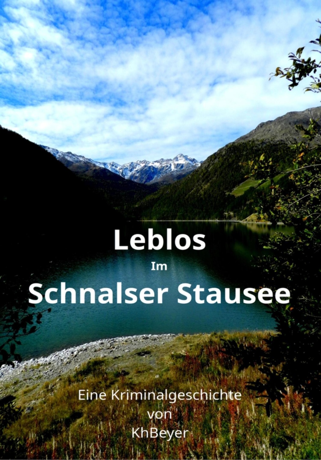 Обложка книги «Leblos im Schnalser Stausee»