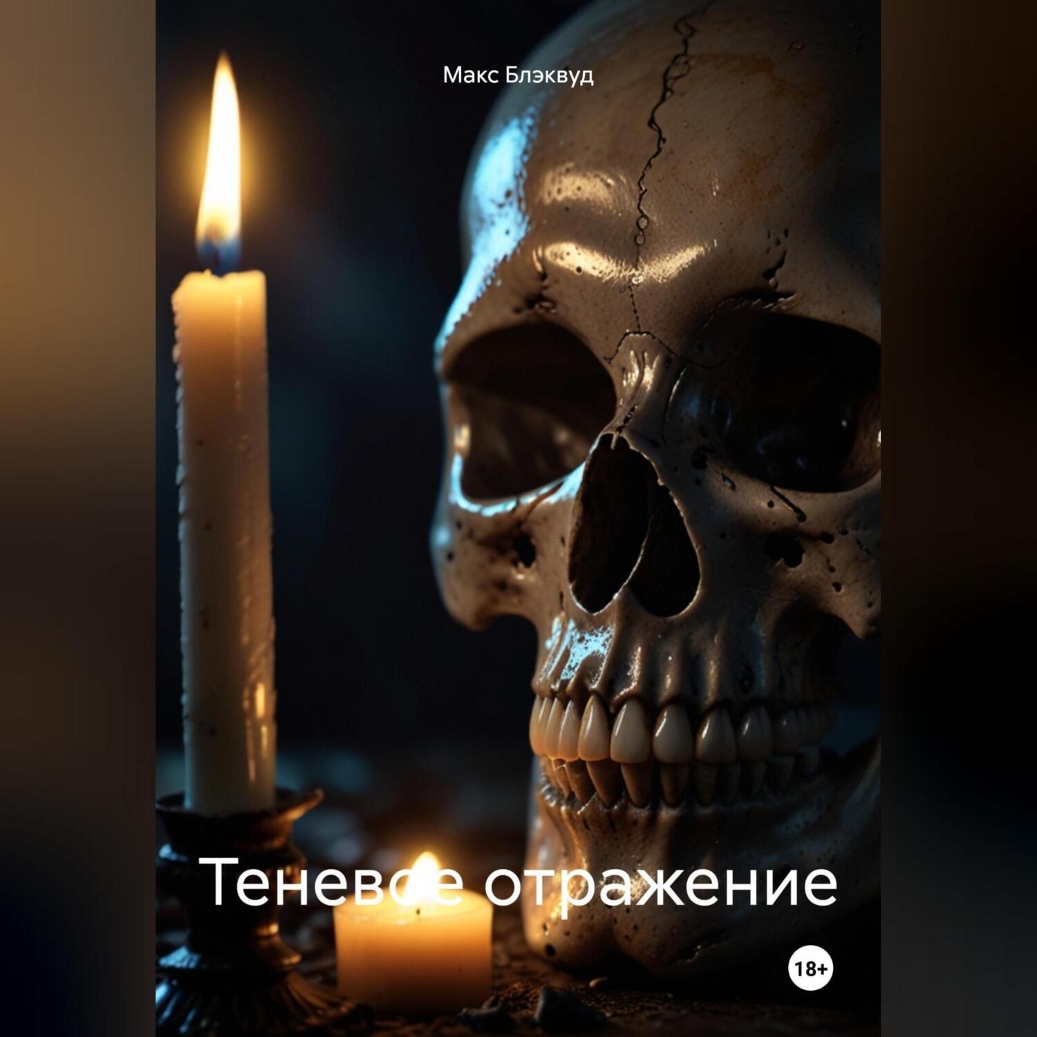 Обложка книги «Теневое отражение»