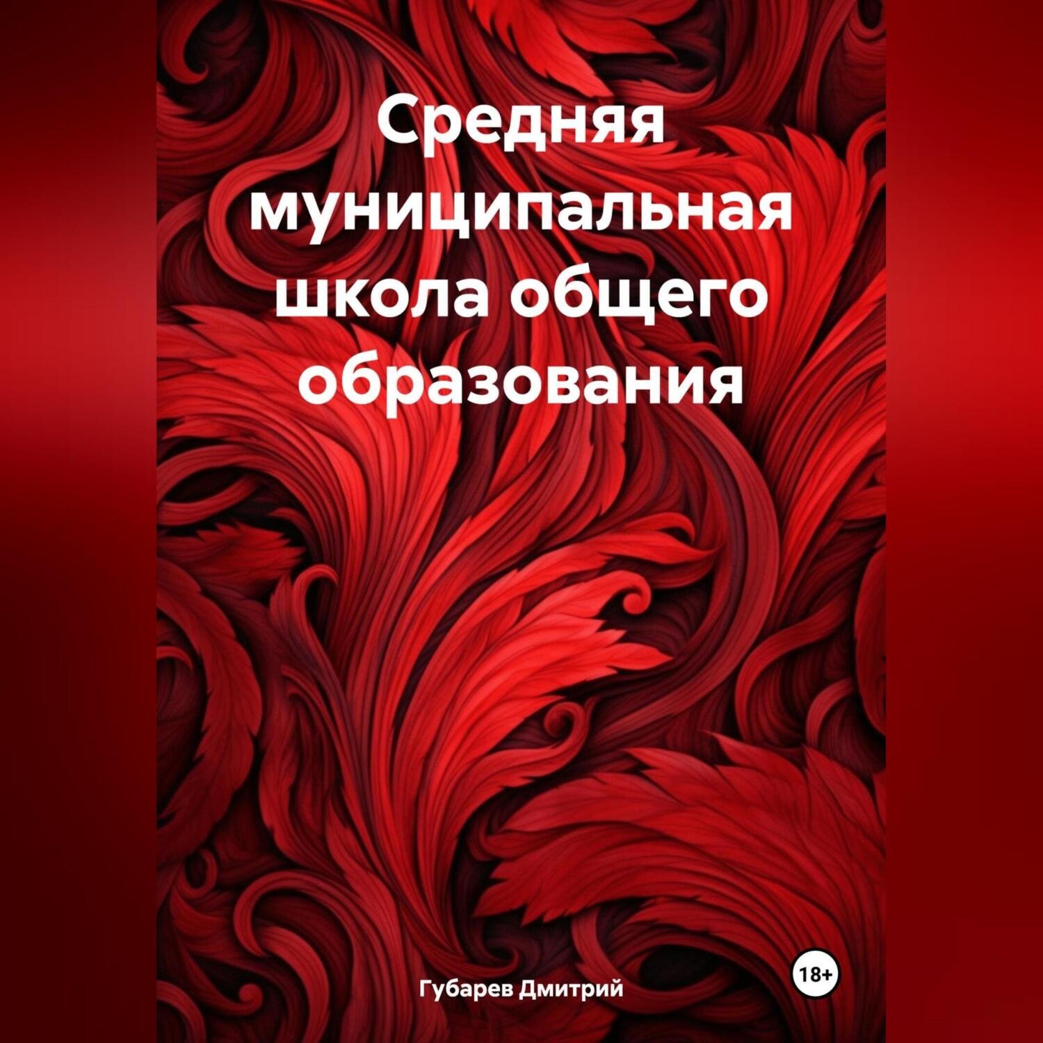 Обложка книги «Средняя муниципальная школа общего образования»