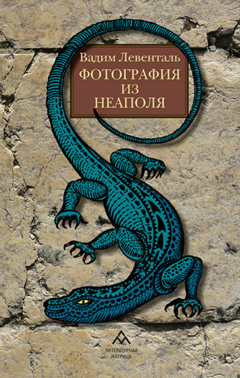 Обложка книги «Фотография из Неаполя»