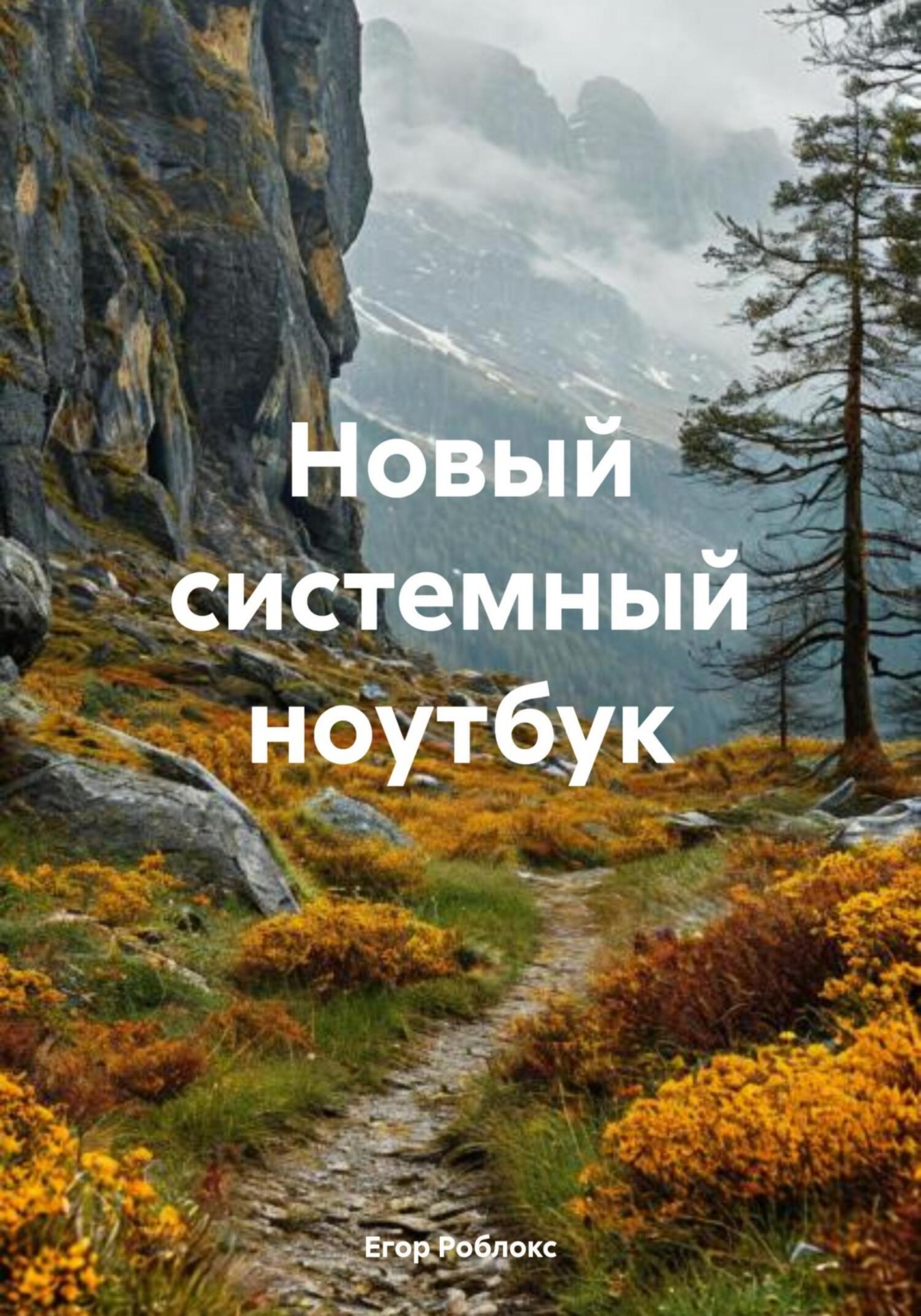 Обложка книги «Новый системный ноутбук»