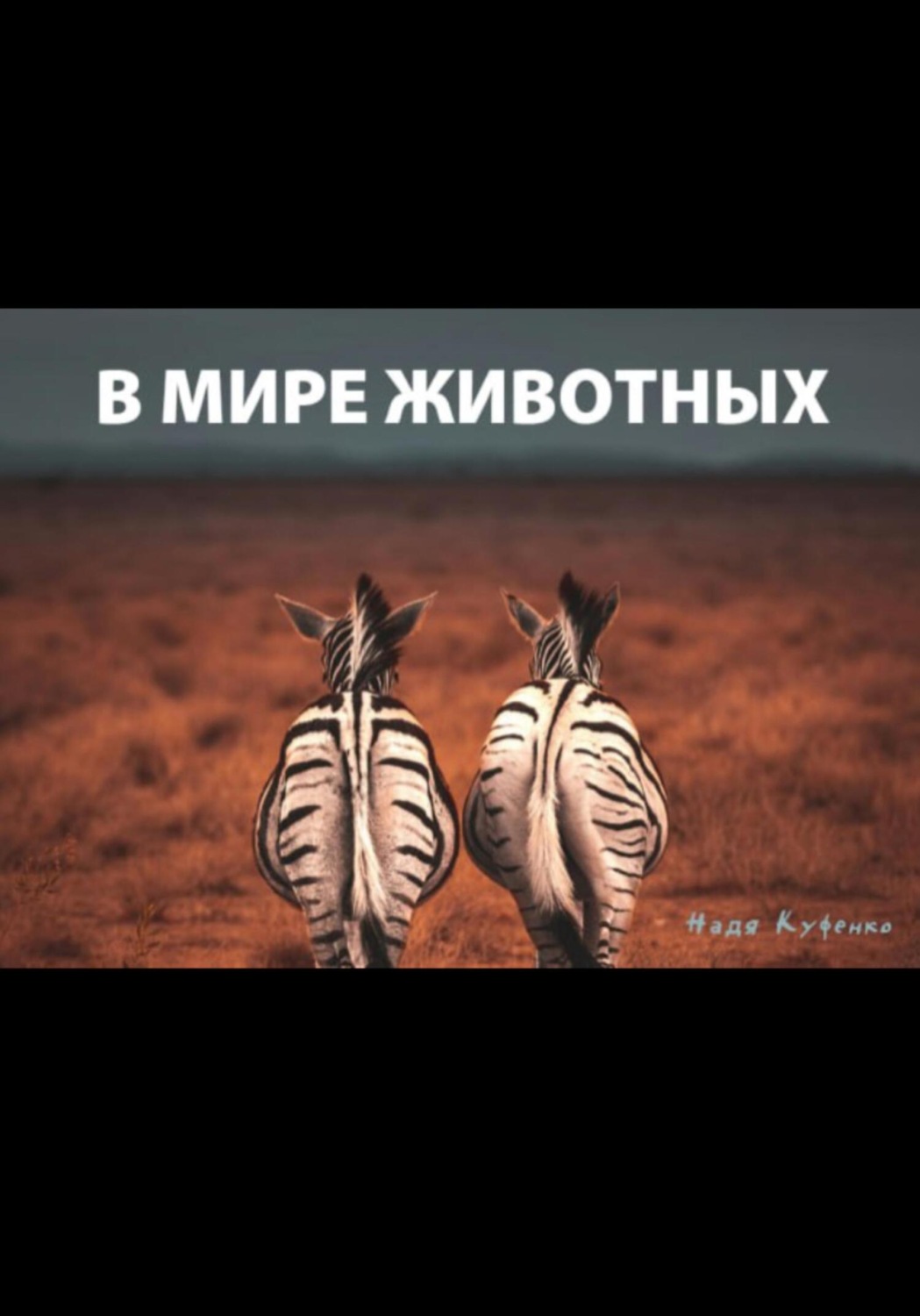 Обложка книги «В мире животных»