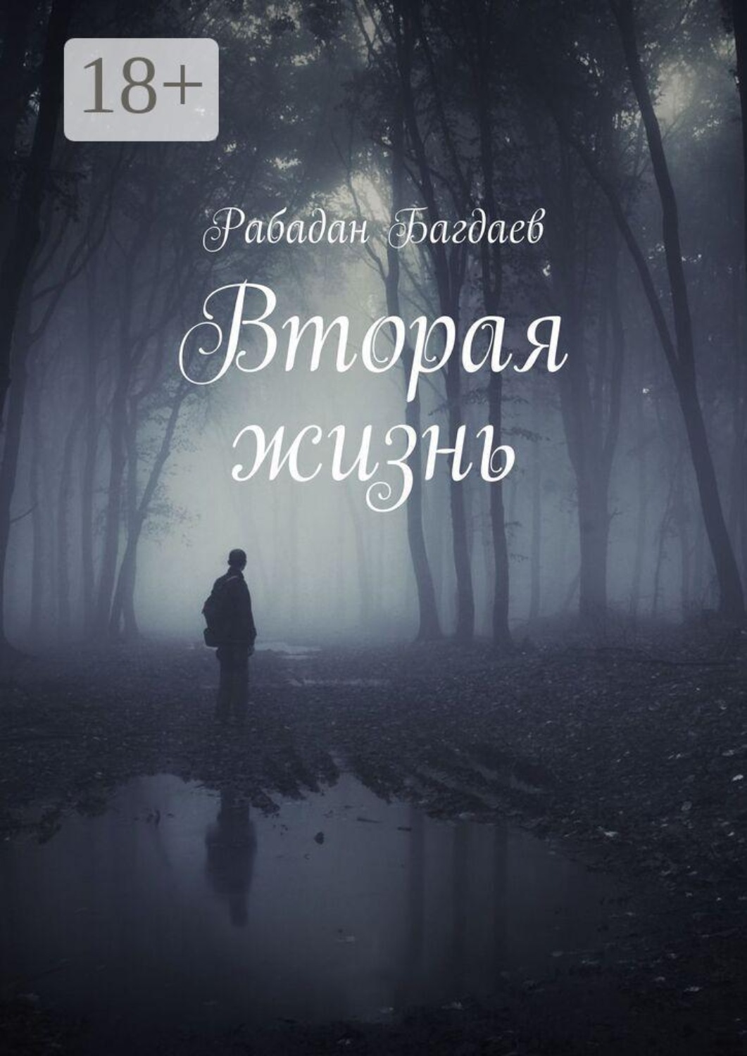 Обложка книги «Вторая жизнь»