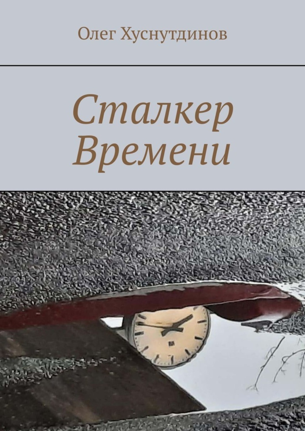 Обложка книги «Сталкер Времени»