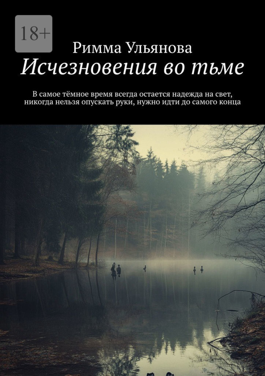 Обложка книги «Исчезновения во тьме»