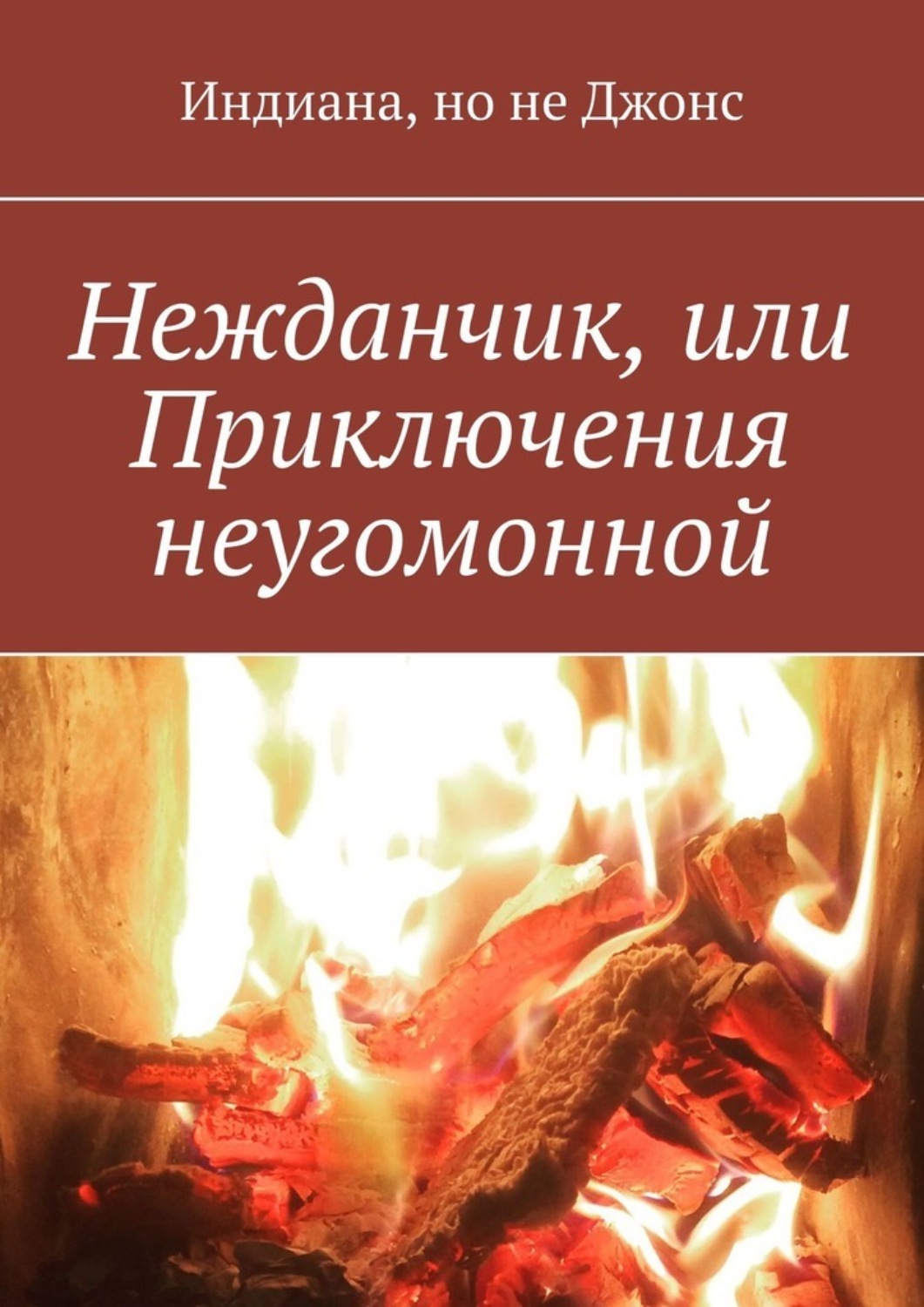 Обложка книги «Нежданчик, или Приключения неугомонной»