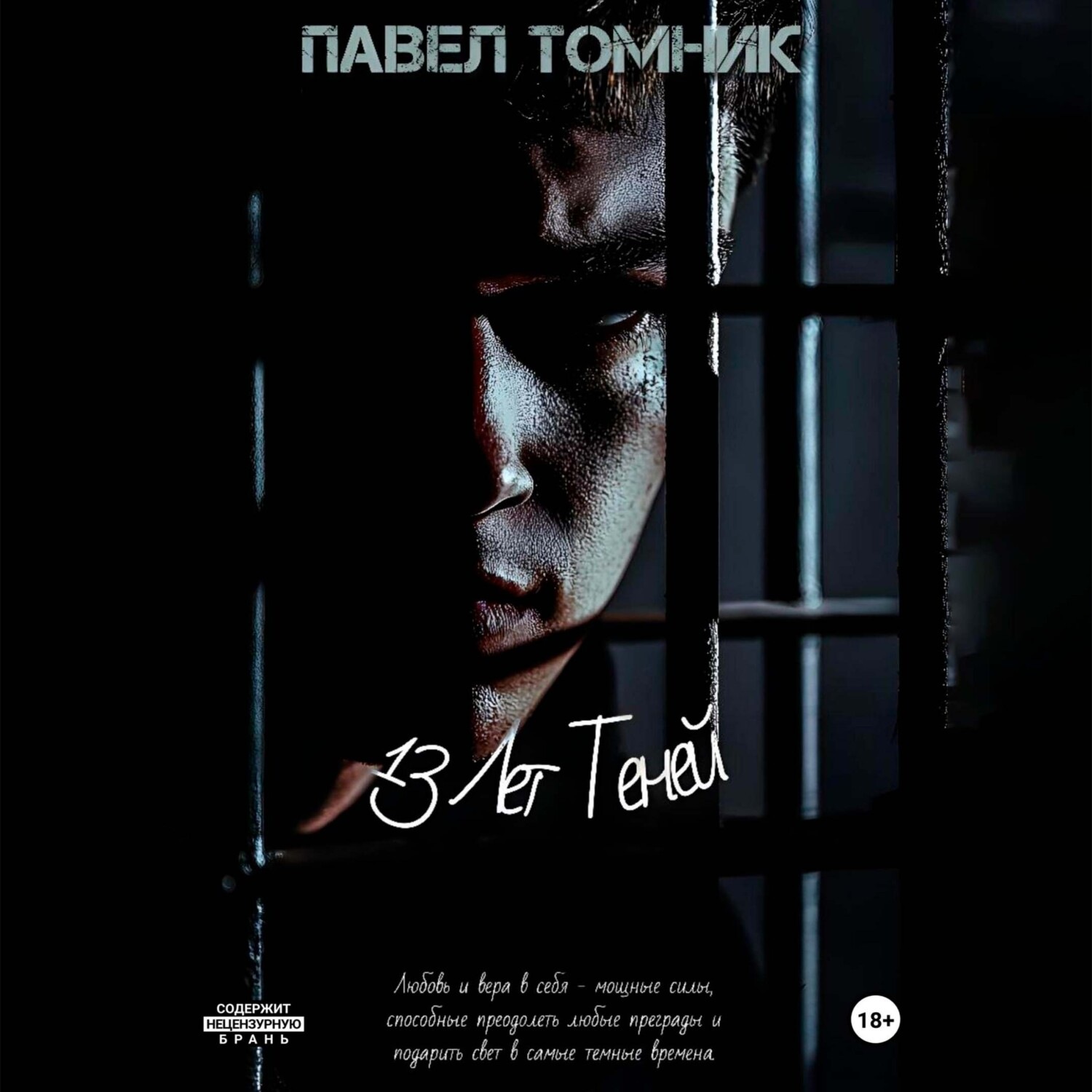 Обложка книги «13 лет Теней»