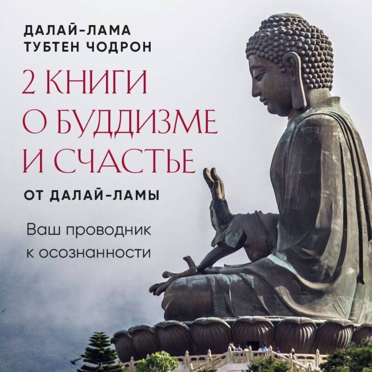 Обложка книги «2 книги о буддизме и счастье от Далай-ламы. Комплект, который станет вашим проводником к осознанности»