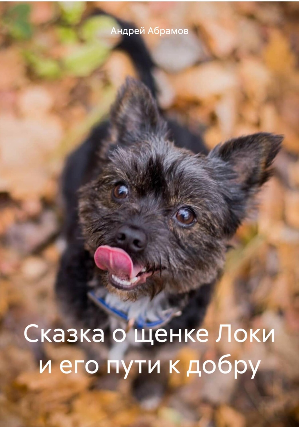Обложка книги «Сказка о щенке Локи и его пути к добру»