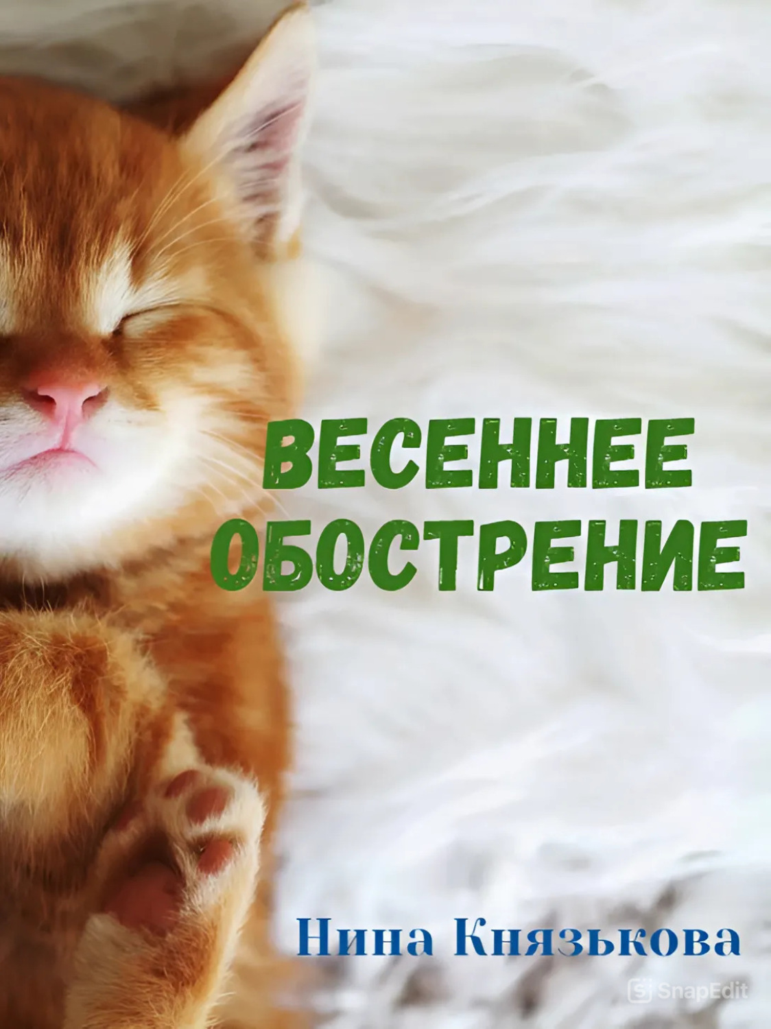 Обложка книги «Весеннее обострение»