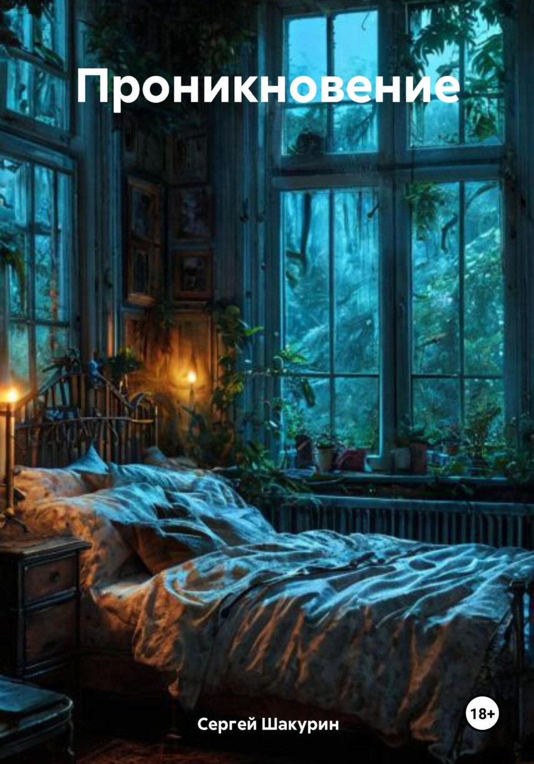 Обложка книги «Проникновение»