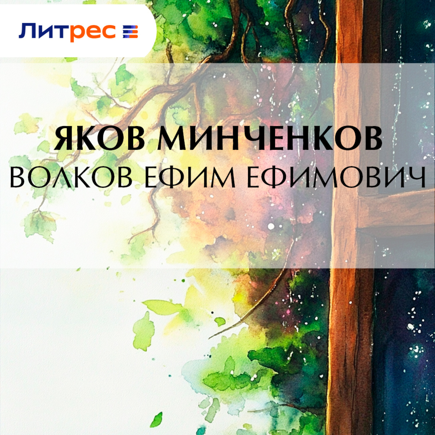 Обложка книги «Волков Ефим Ефимович»
