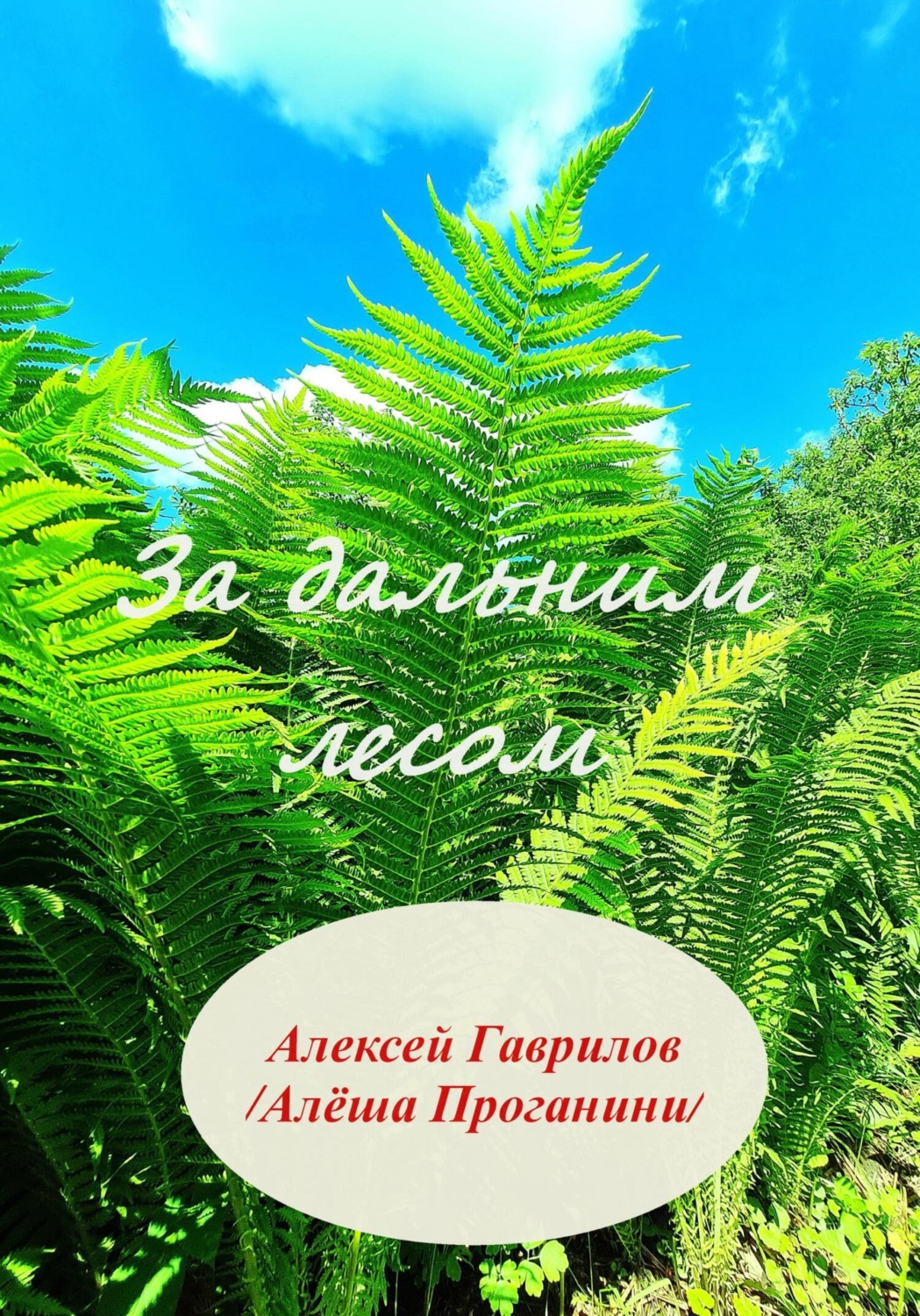 Обложка книги «За дальним лесом»