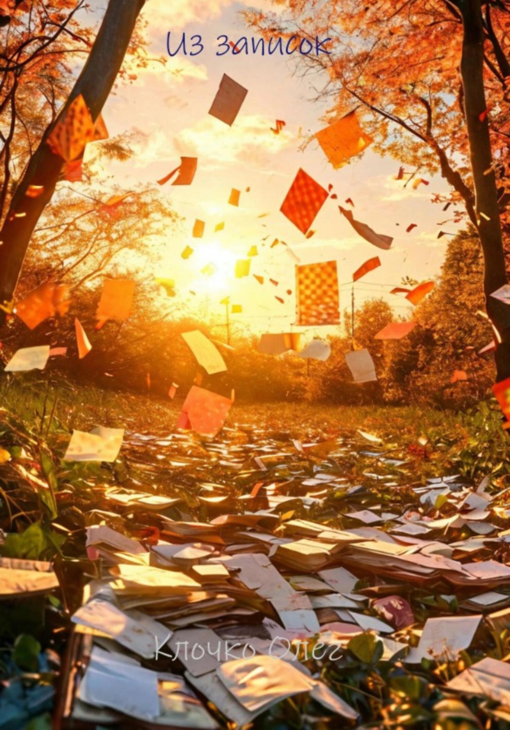 Обложка книги «Из записок»