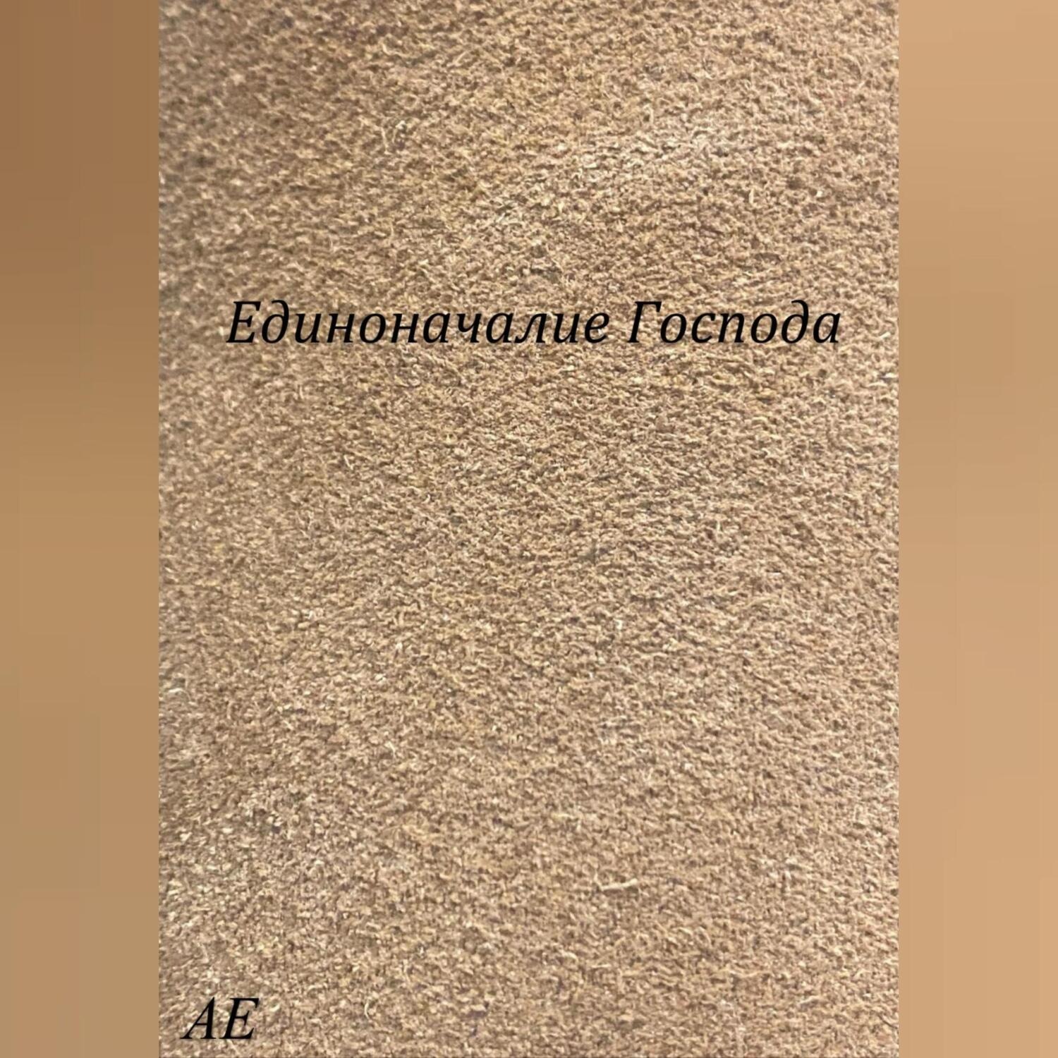 Обложка книги «Единоначалие Господа»