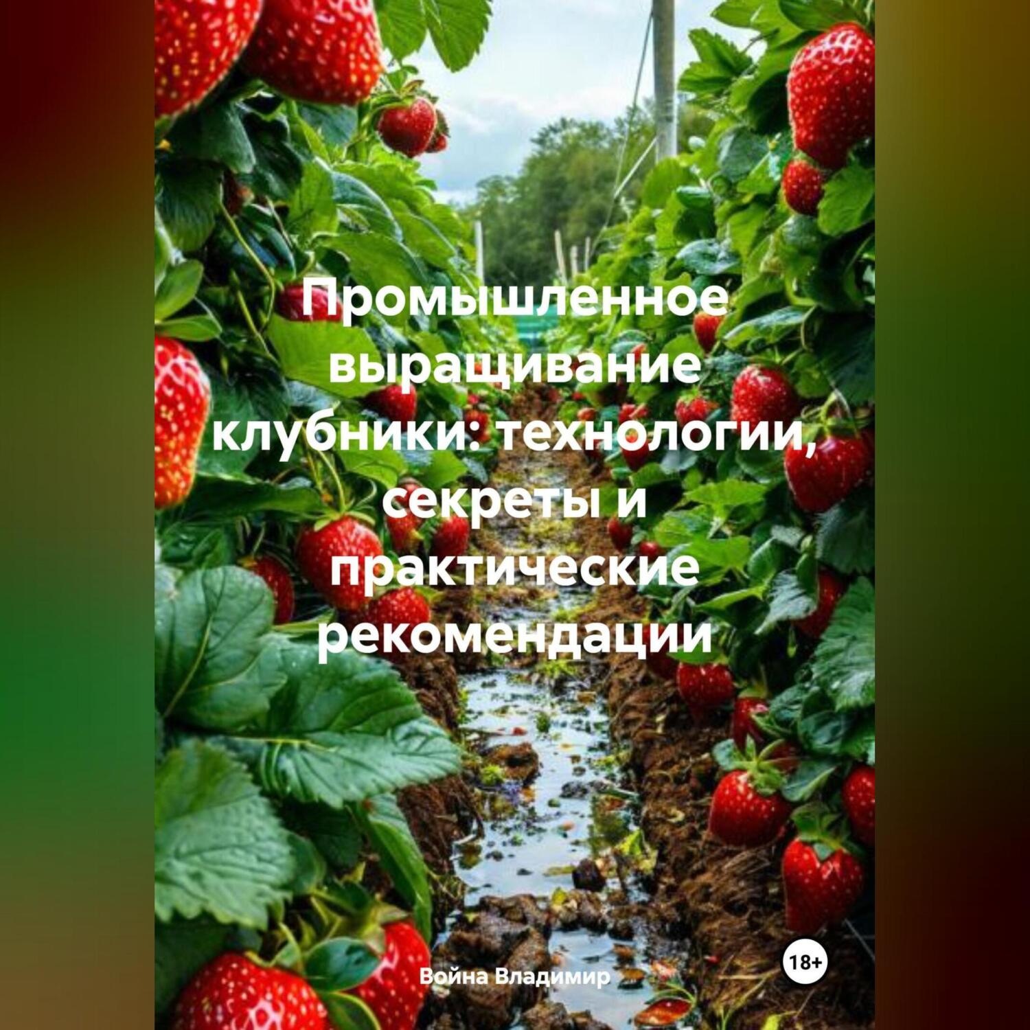 Обложка книги ««Промышленное выращивание клубники: технологии, секреты и практические рекомендации»»