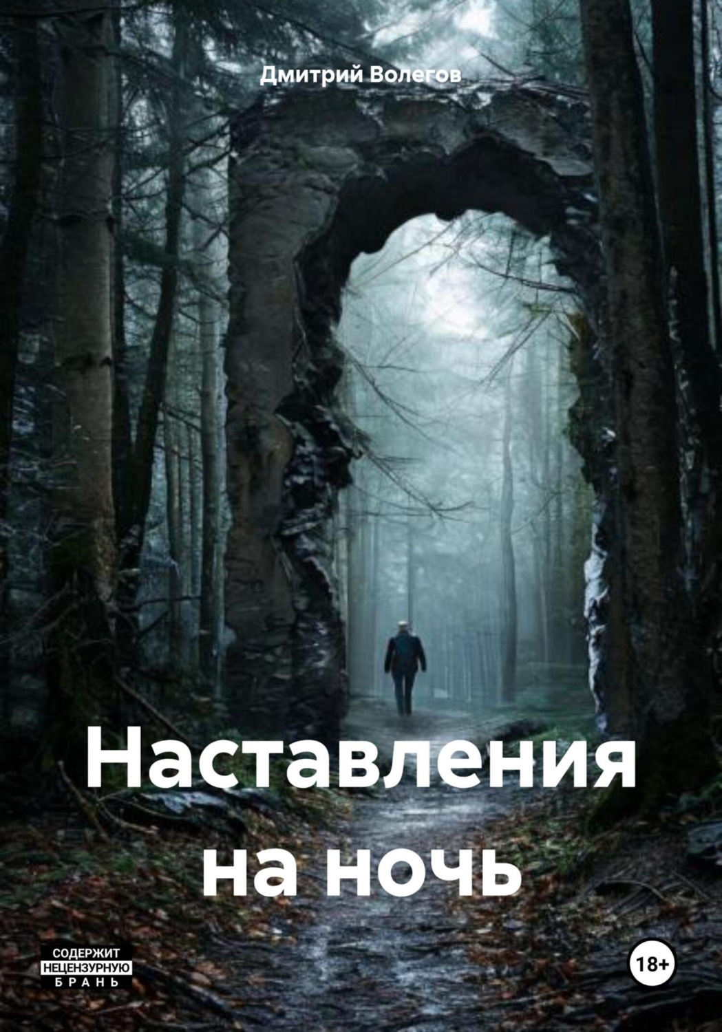 Обложка книги «Наставления на ночь»