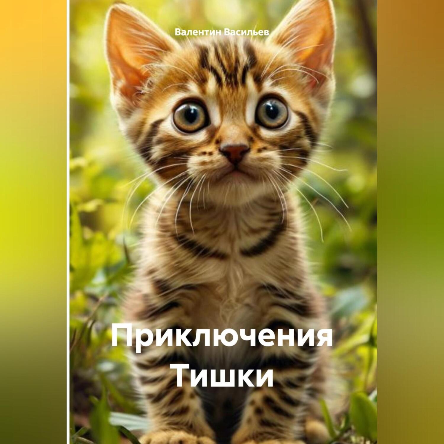 Обложка книги «Приключения Тишки»