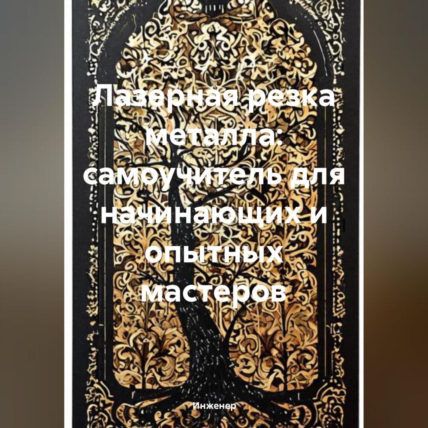 Обложка книги «Лазерная резка металла: самоучитель для начинающих и опытных мастеров»