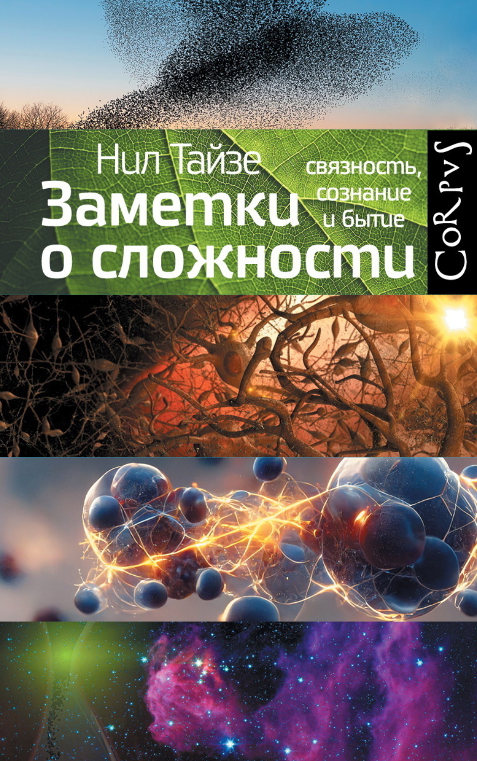 Обложка книги «Заметки о сложности. Связность, сознание и бытие»