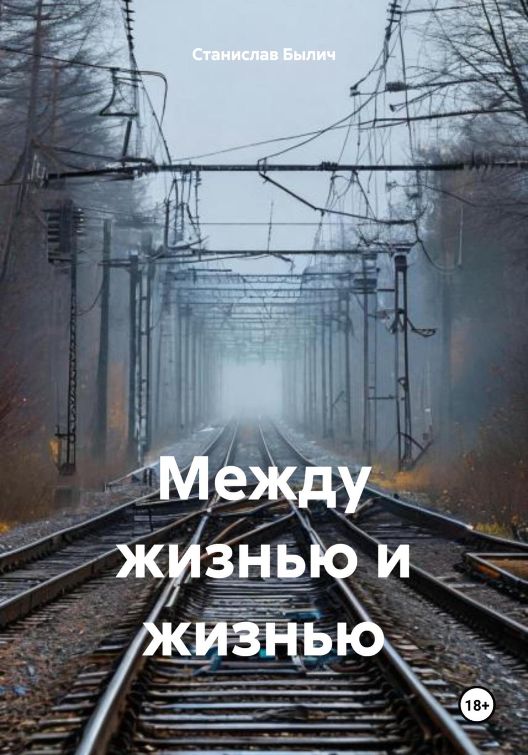 Обложка книги «Между жизнью и жизнью»