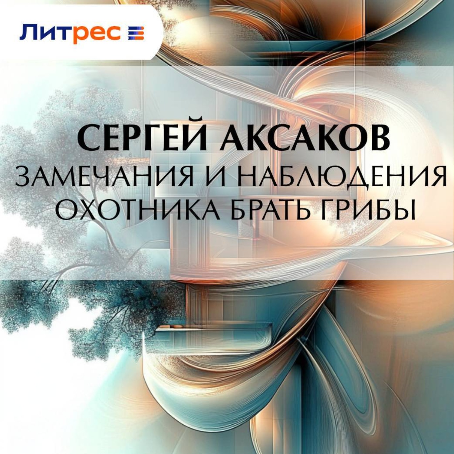 Обложка книги «Замечания и наблюдения охотника брать грибы»