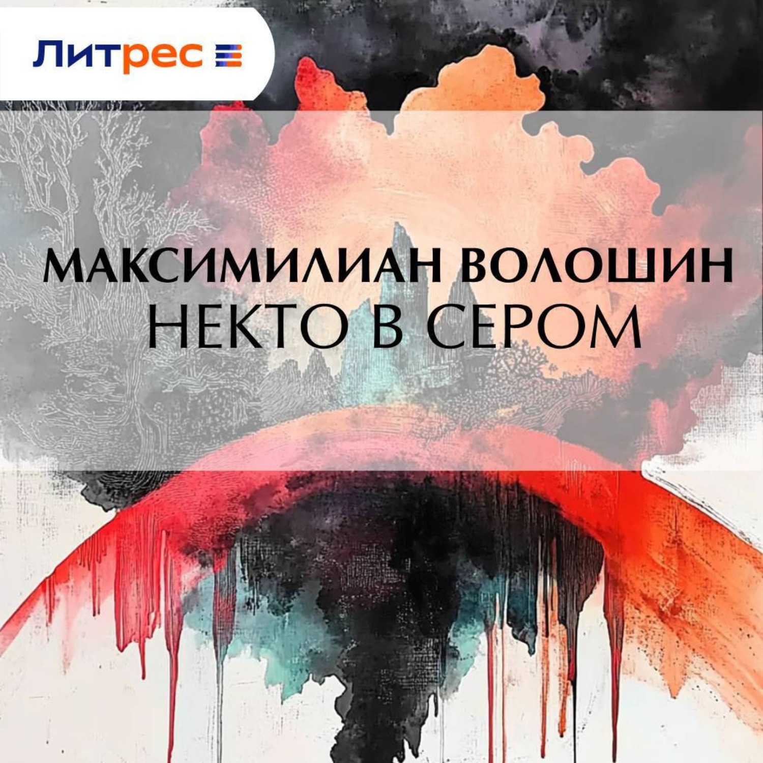 Обложка книги «Некто в сером»
