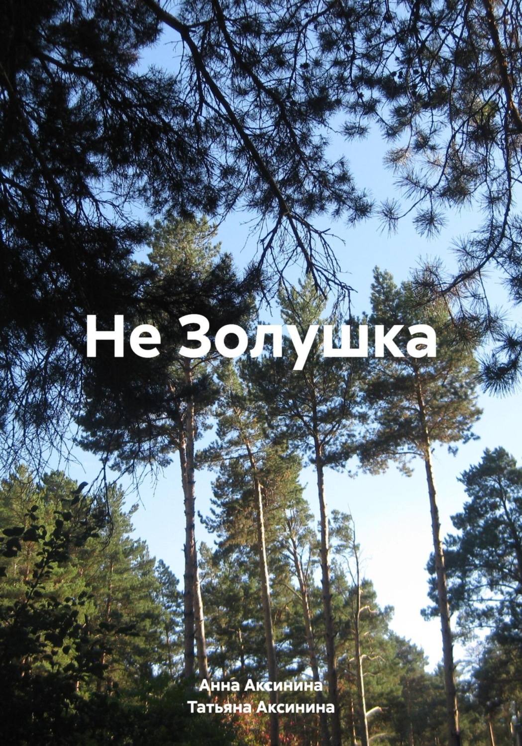 Обложка книги «Не Золушка»