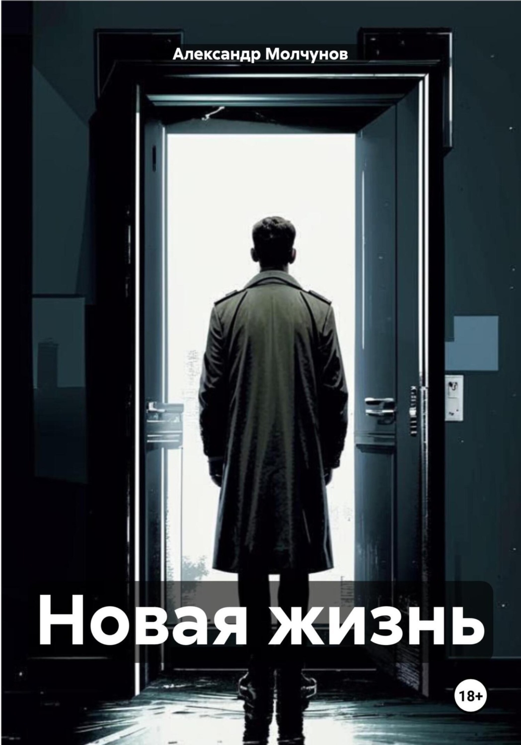 Обложка книги «Новая жизнь»