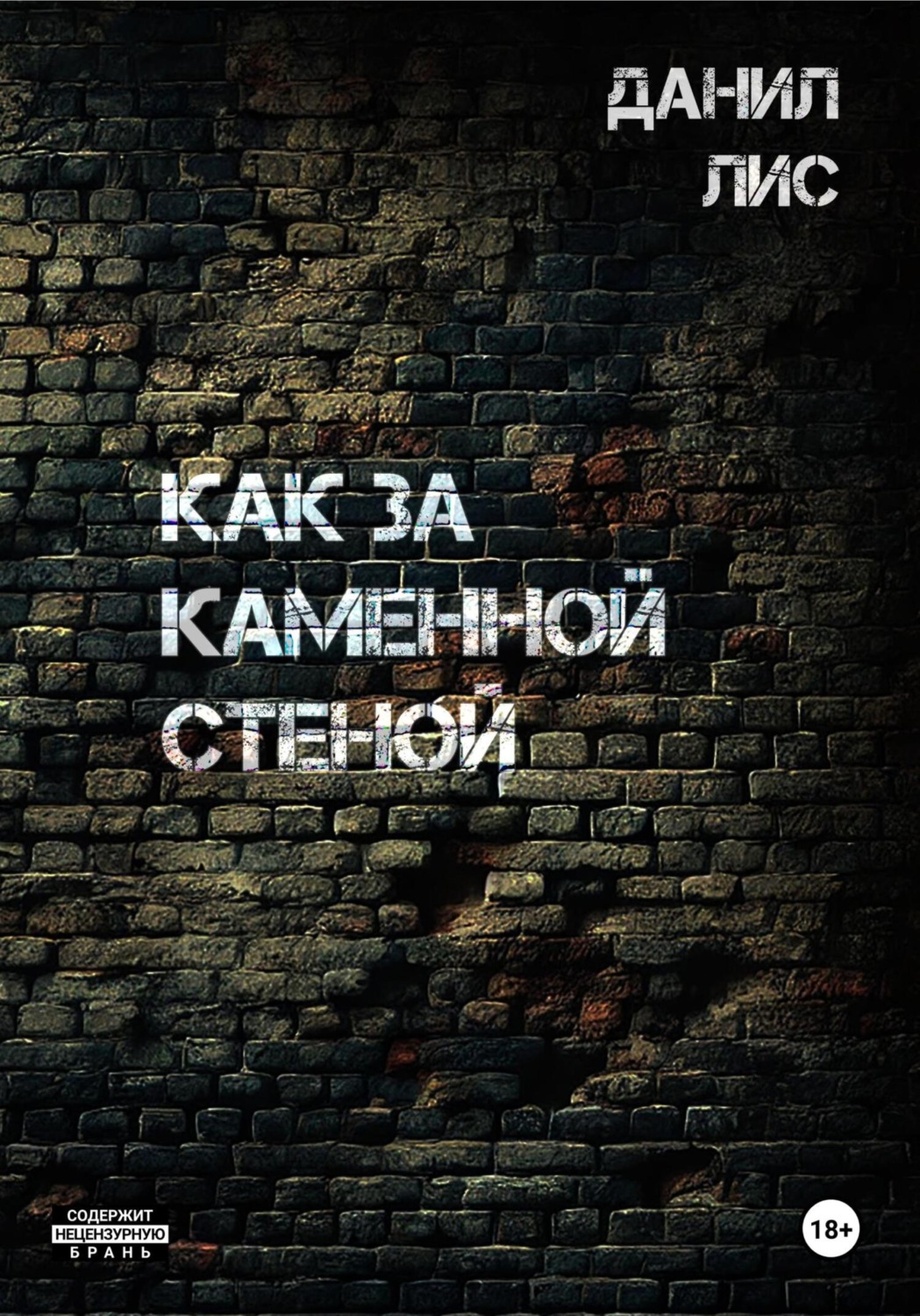 Обложка книги «Как за каменной стеной»
