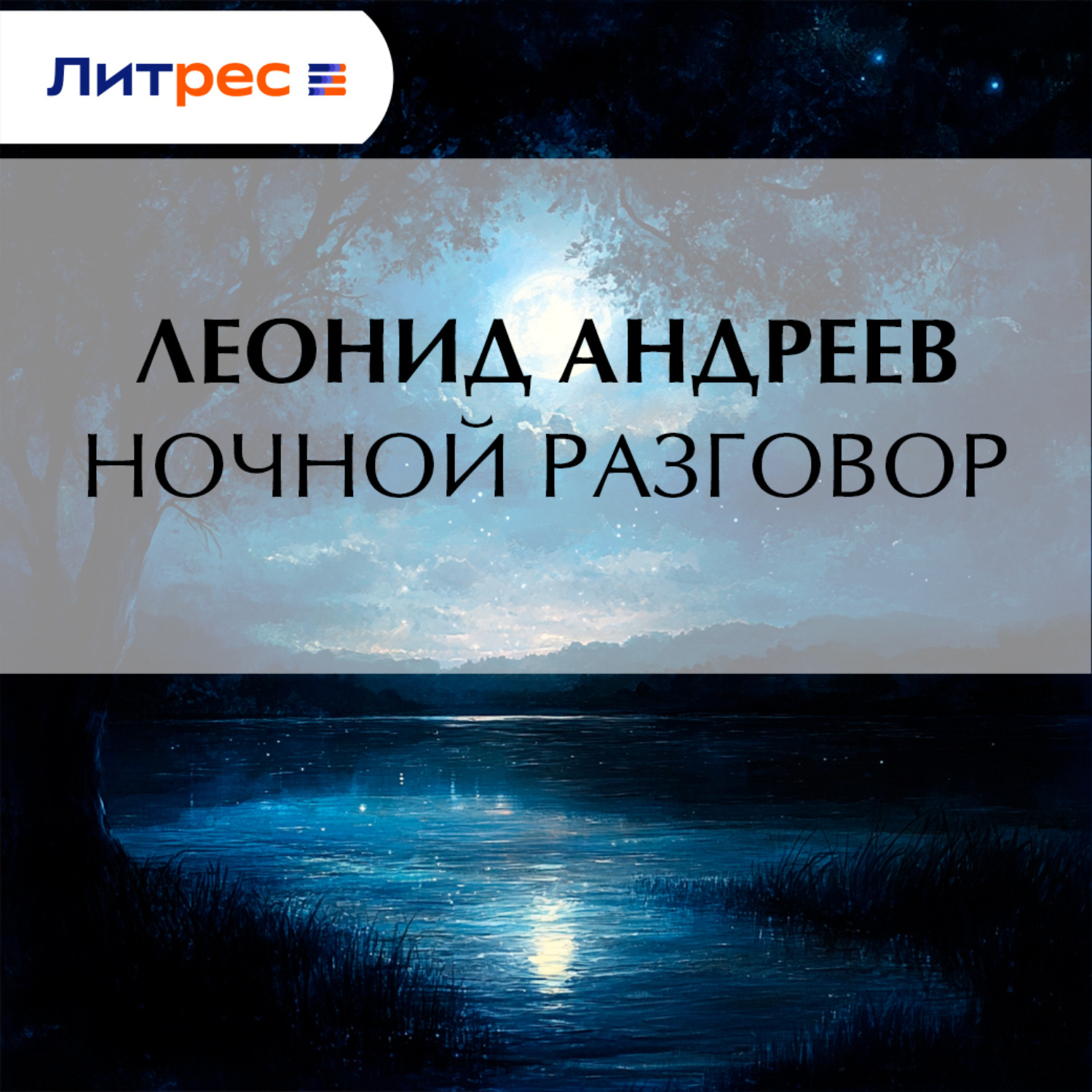 Обложка книги «Ночной разговор»