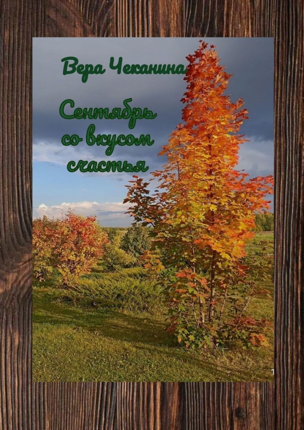 Обложка книги «Сентябрь со вкусом счастья»