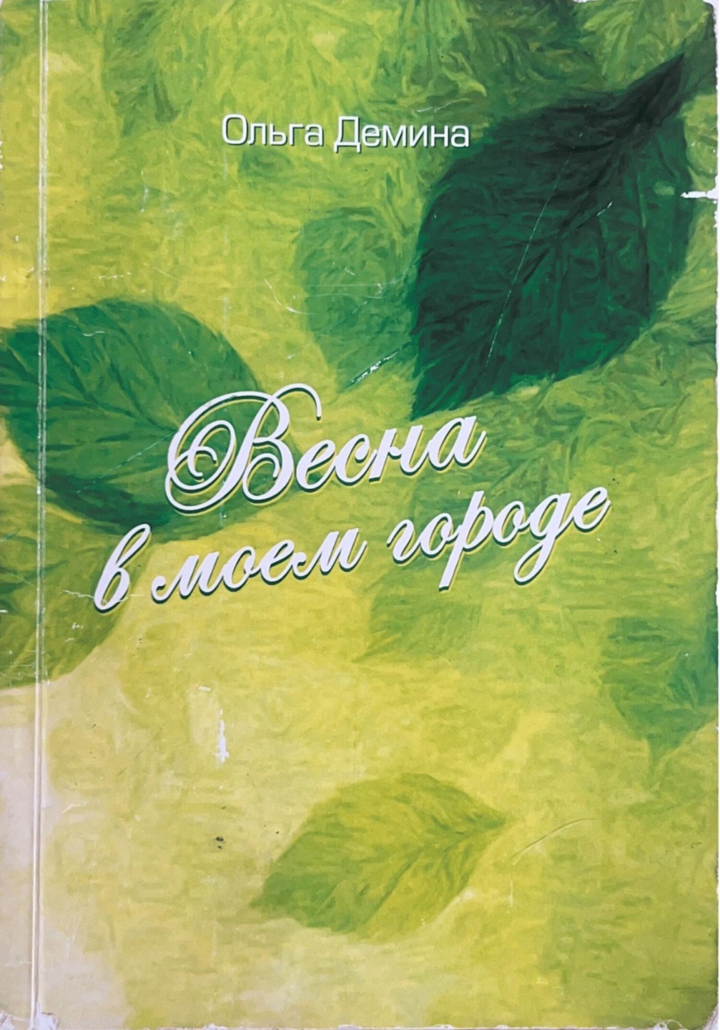 Обложка книги «Весна в моем городе»