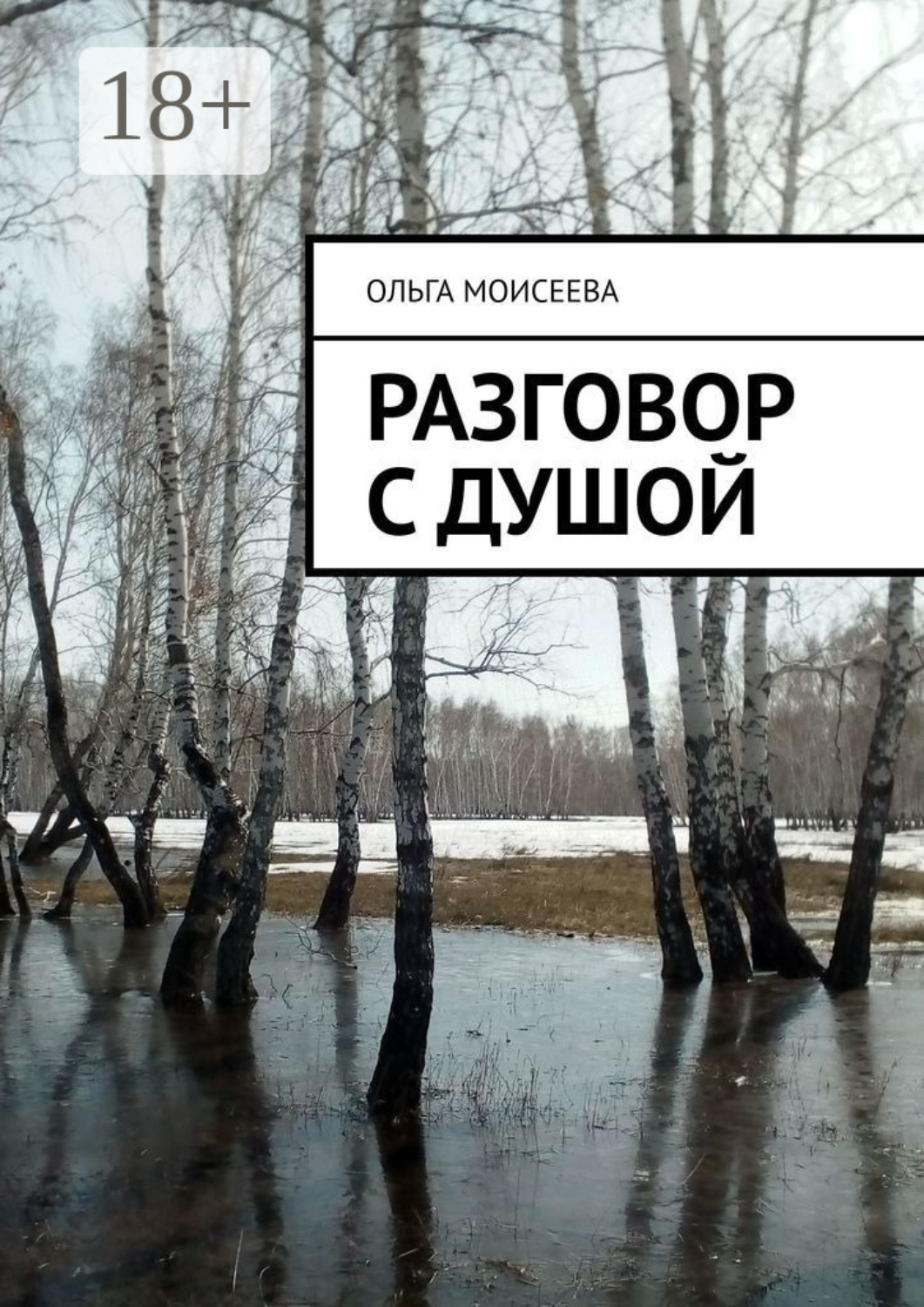 Обложка книги «Разговор с Душой»