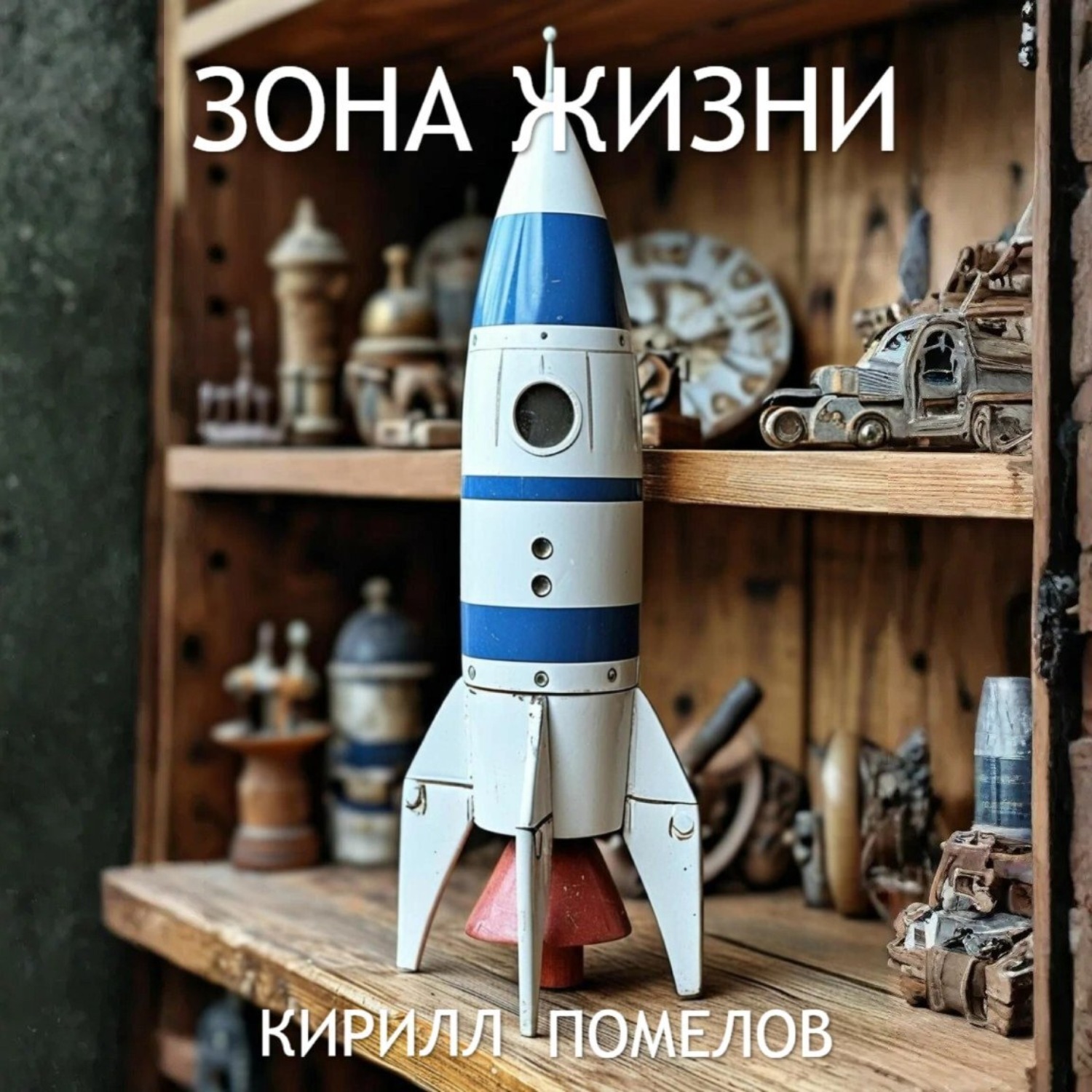 Обложка книги «Зона жизни»