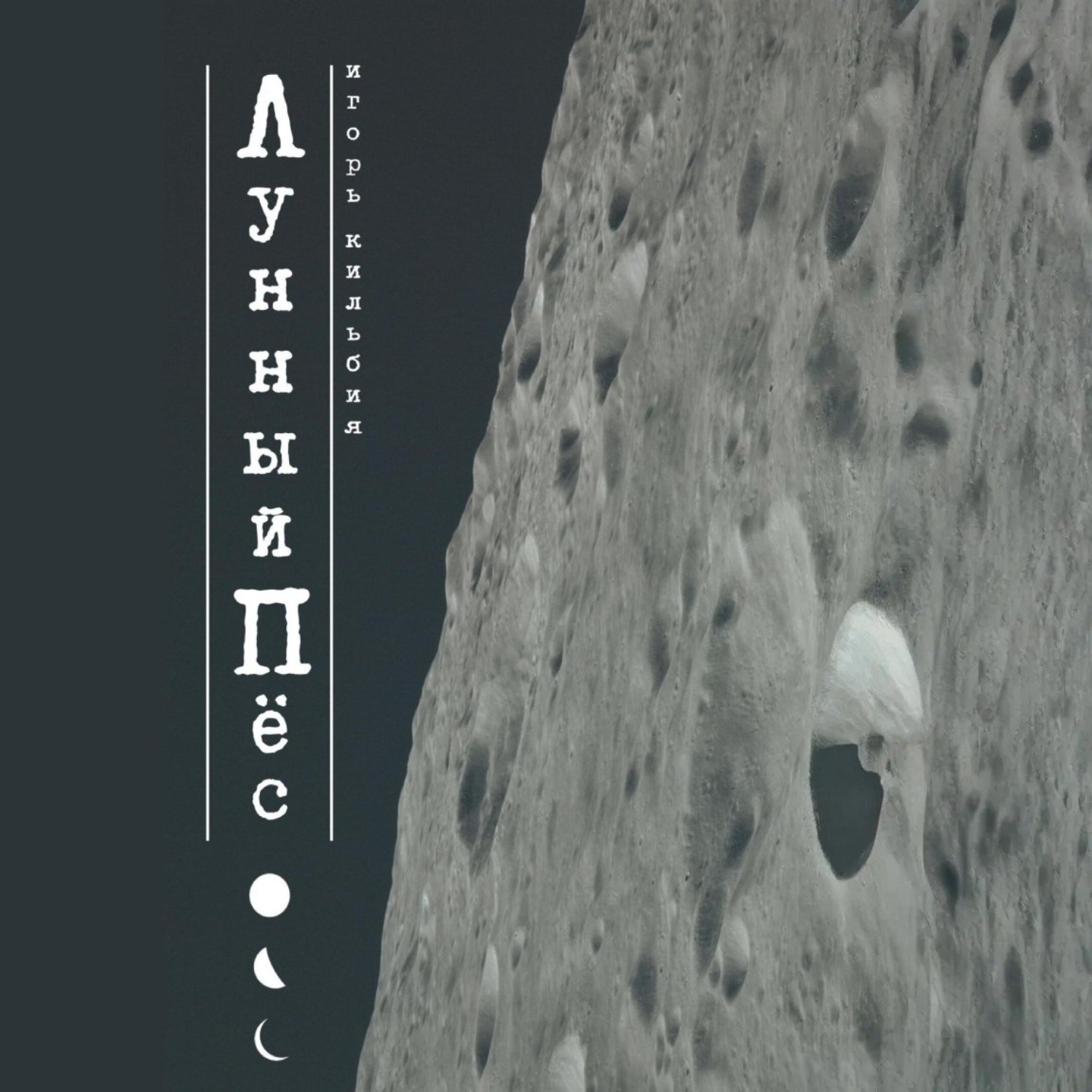 Обложка книги «Лунный пёс»