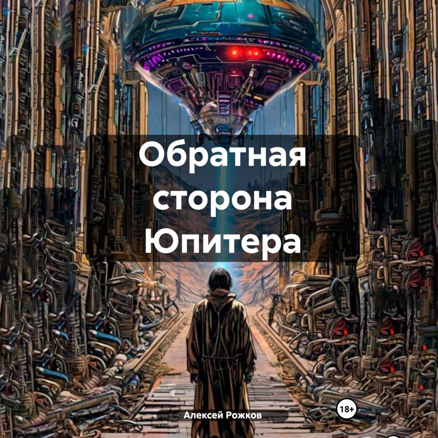 Обложка книги «Обратная сторона Юпитера»