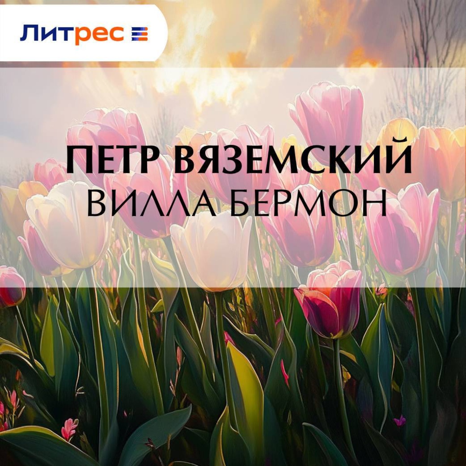 Обложка книги «Вилла Бермон»