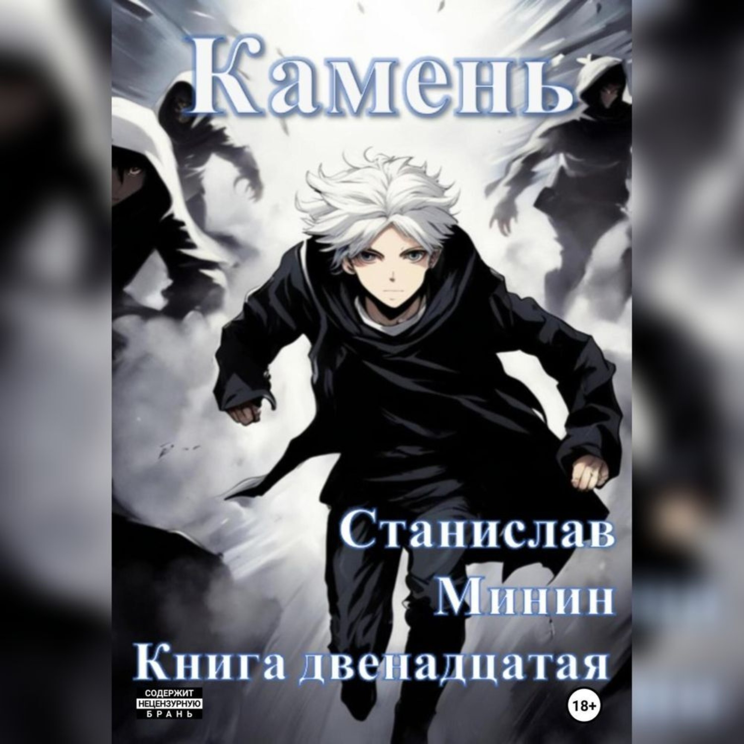 Обложка книги «Камень. Книга двенадцатая»