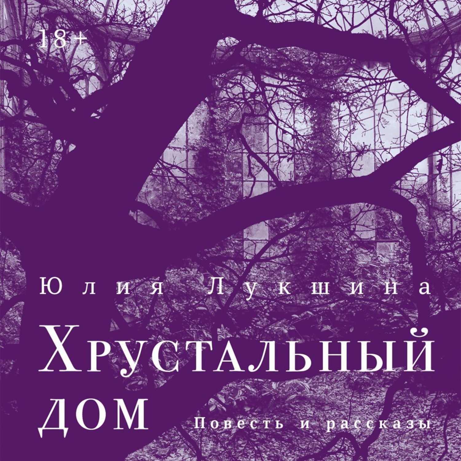 Обложка книги «Хрустальный дом»