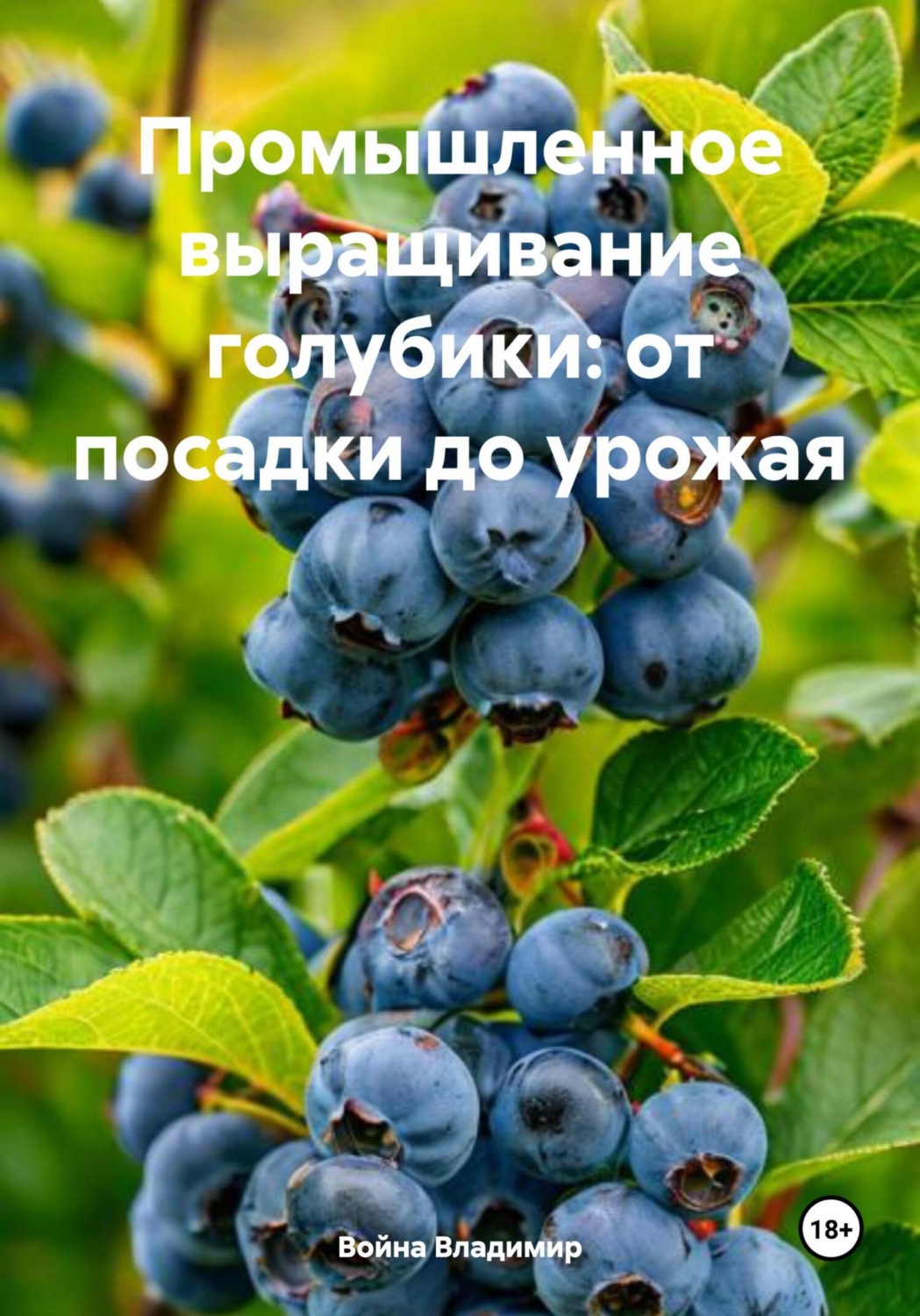 Обложка книги «Промышленное выращивание голубики: от посадки до урожая»