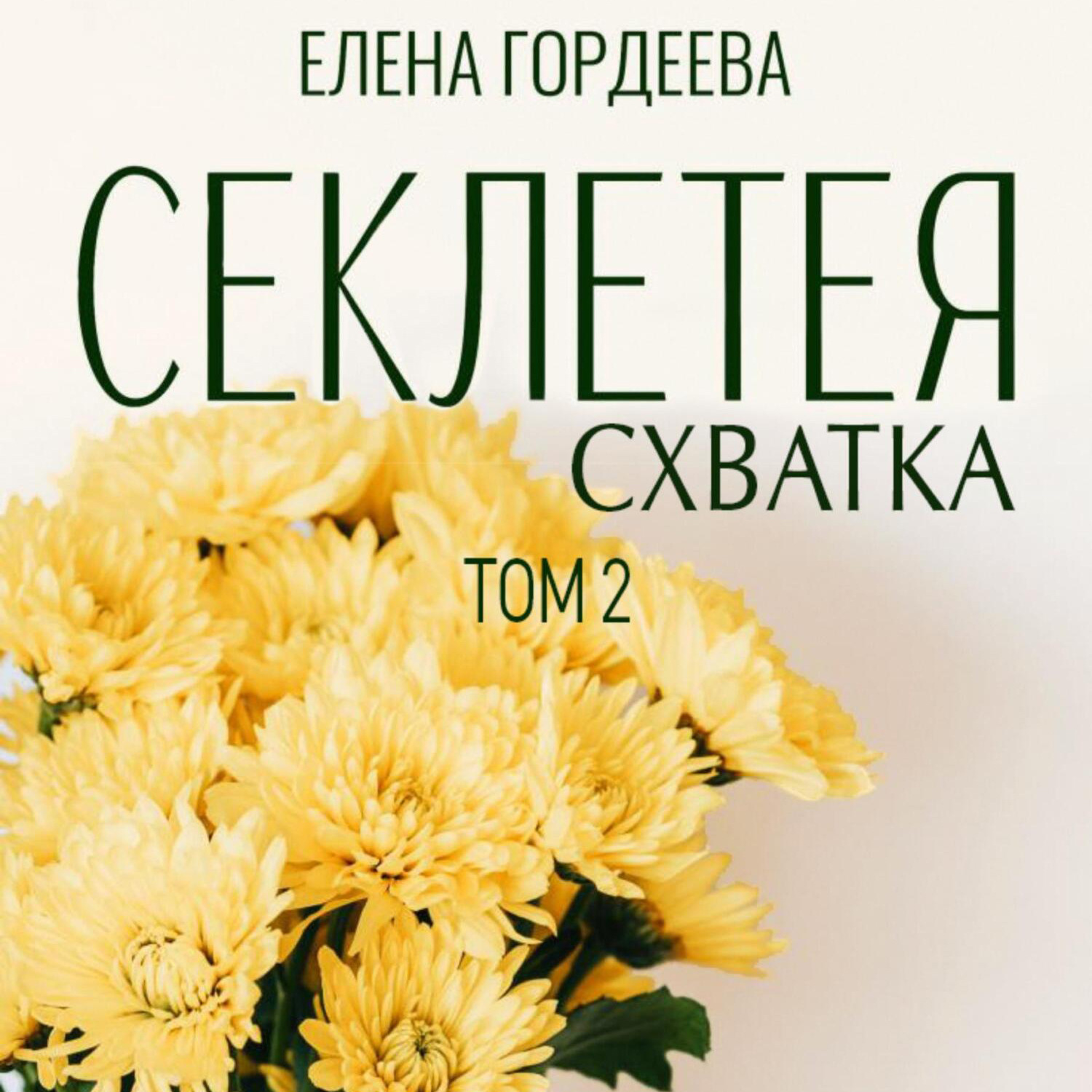 Обложка книги «Секлетея. Схватка»