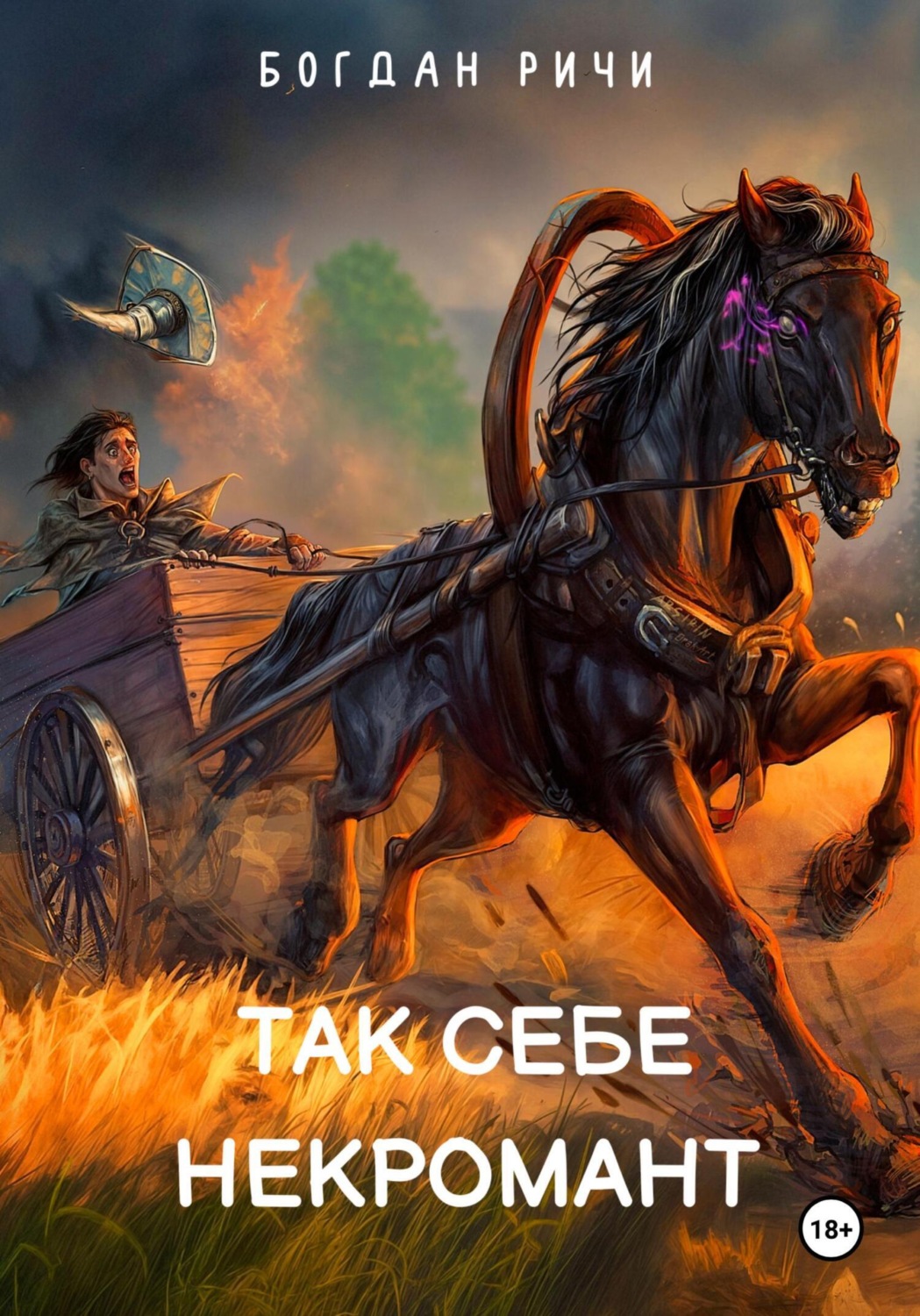 Обложка книги «Так себе некромант»