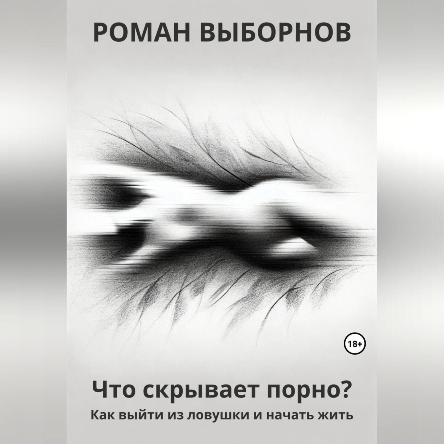 Обложка книги «Что скрывает порно?»
