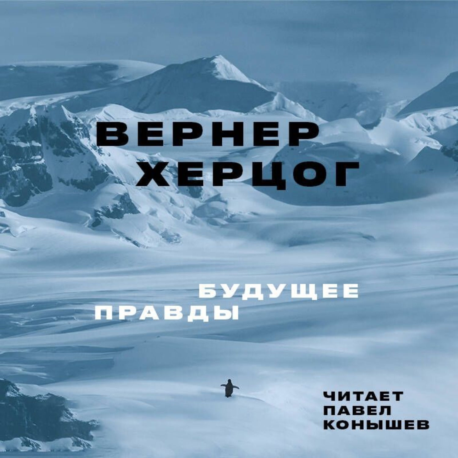 Обложка книги «Будущее правды»