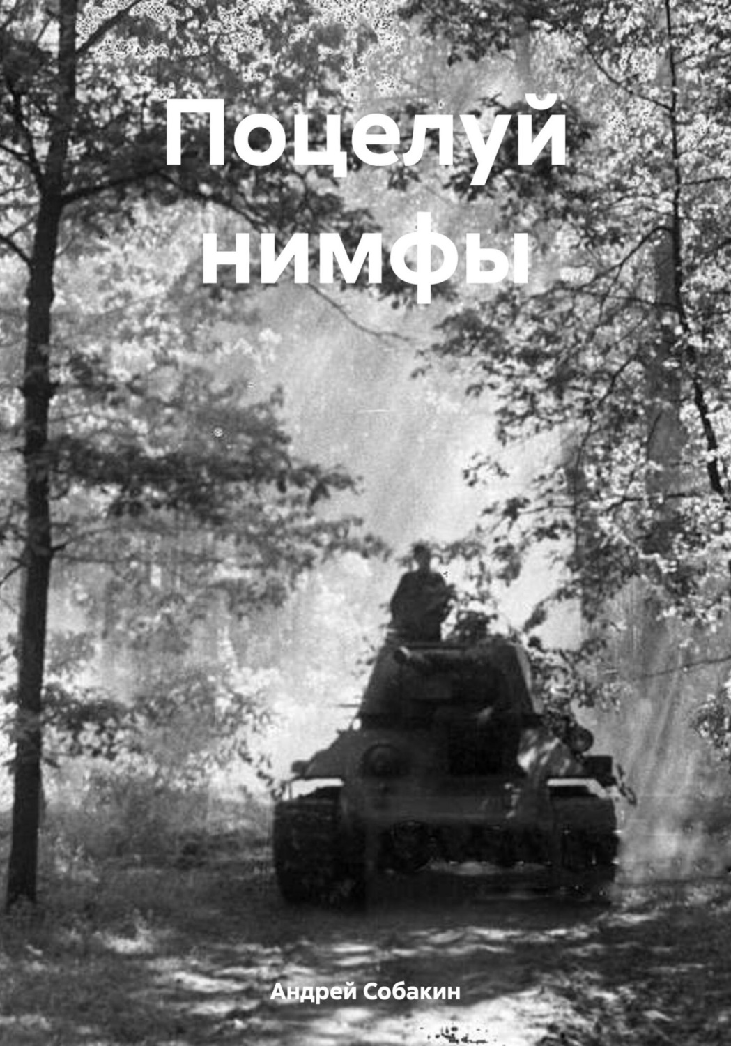 Обложка книги «Поцелуй нимфы»