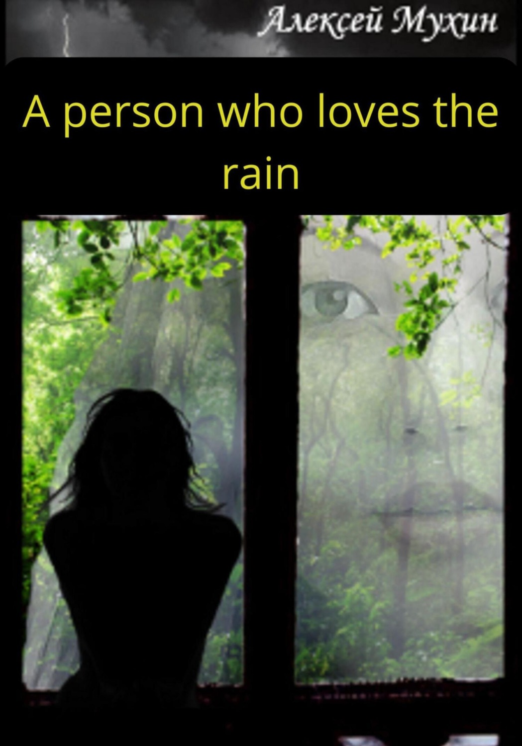 Обложка книги «A person who loves the rain»