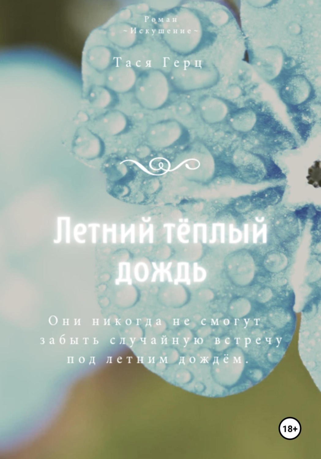 Обложка книги «Летний тёплый дождь»