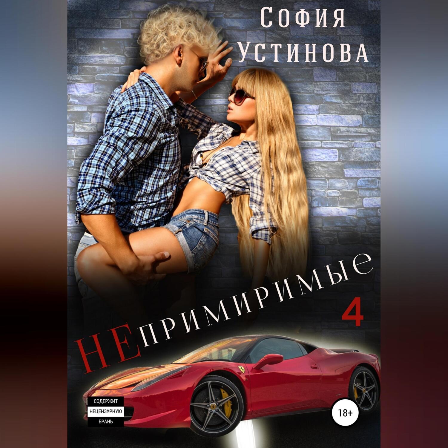 Обложка книги «Непримиримые 4»